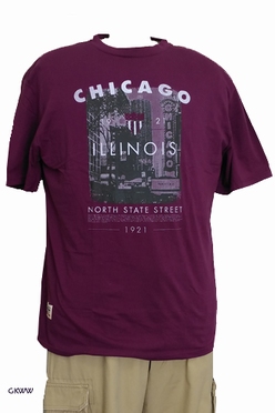 T-shirt 'CHICAGO', aubergine