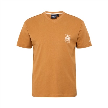 North Latitude T-shirt met V-hals, camel