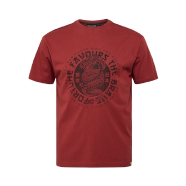 North Latitude T-shirt print "Fortune Drake", burnt henna