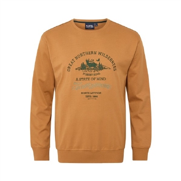 North Latitude sweatshirt 'Northern Wilderness', camel