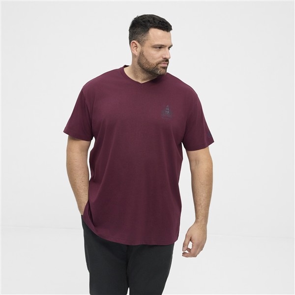 North Latitude T-shirt met V-hals, bordeaux