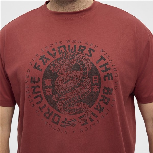 North Latitude T-shirt print "Fortune Drake", burnt henna