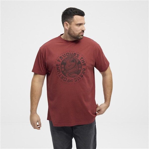 North Latitude T-shirt print "Fortune Drake", burnt henna