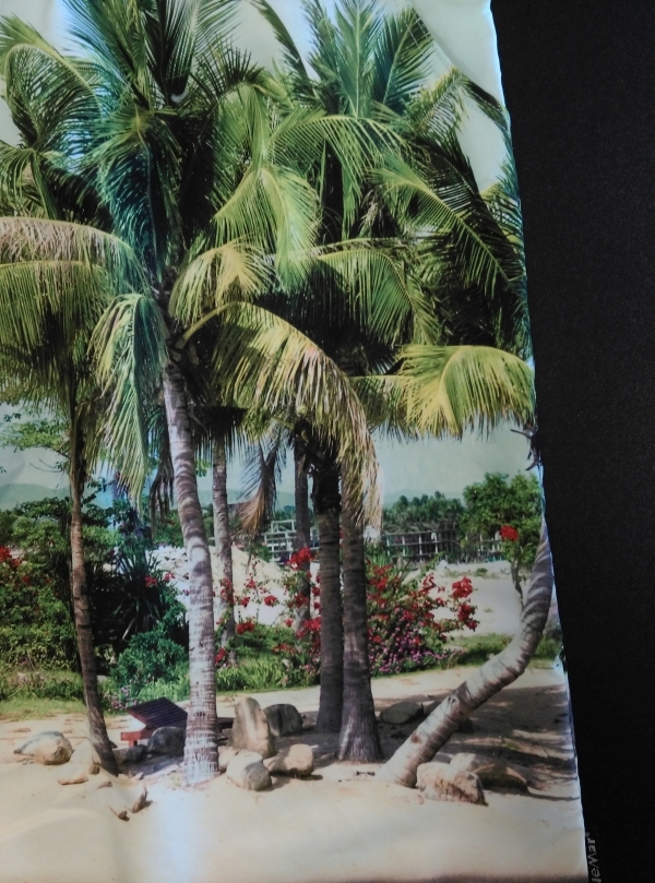 Zwemshort Palmenstrand fotoprint, veelkleurig